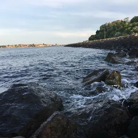Daire Cacaobeach